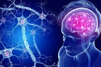 СОВЕТ ЭКСПЕРТА. Амнезия у взрослых связана с возрастными изменениями