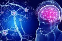 СОВЕТ ЭКСПЕРТА. Амнезия у взрослых связана с возрастными изменениями