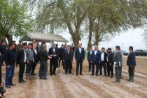 В Хатлонской области стартовала кампания по посеву хлопка