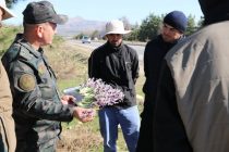 Срывать и реализовывать дикорастущие сезонные цветы в Таджикистане запрещено