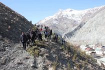 В Айнинском районе прошла акция по посадке деревьев