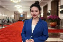 Дела народа решает народ: всеобъемлющая народная демократия в действии на фоне «двух сессий»