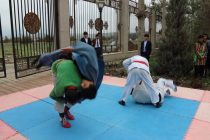 В Дангаринском районе прошел национальный спортивный фестиваль