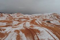 В пустыне Сахара выпал снег