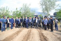 Заместитель Премьер-министра Таджикистана ознакомился с полевыми работами в районах Хатлонской области