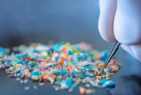 Микропластик признан фактором риска для здоровья человека — данные международного доклада