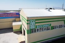 Новое предприятие в Бободжон Гафуровском района сможет перерабатывать до 1000 тонн пшеницы в сутки