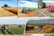 Какие возможности открывает «умное» сельское хозяйство в Таджикистане?