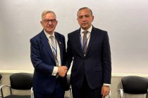 Расширяется сотрудничество Таджикистана с Азиатским банком инфраструктурных инвестиций