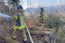 Власти Японии направили более 1 тысячи пожарных в связи с бушующими лесными пожарами