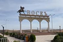 В Восейском районе хлопком засеяли более 7 тысяч гектаров