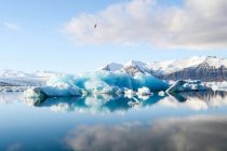 Ледники мира потеряли 408 гигатонн льда в 2025 году, он оказался одним из худших по глобальному таянию