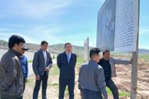 Инвесторы из Китая посетили свободную экономическую зону «Дангара»