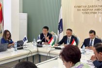 В Душанбе обсудили трёхсторонний  обзор портфеля проектов