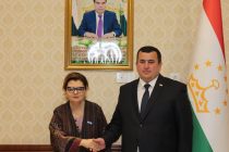 В Душанбе обсудили укрепление сотрудничества в области развития человеческого капитала