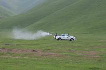 В Пянджском районе принимают меры по уничтожению саранчи