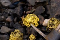 За всю историю человечества добыто почти 220 тысяч тонн золота