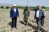 Заместитель Премьер-министра Таджикистана ознакомился с деятельностью земледельцев Фархорского района