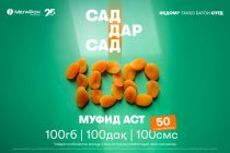 Абонентам Согда и Хатлона – тарифы с максимумом интернета