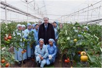 В Таджикистане более 52 тысяч дехканских хозяйств, которыми руководят женщины