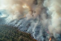 Во Флориде площадь лесного пожара выросла почти до 2-х тысяч гектаров