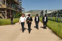 Инвесторы из Китая выразили готовность к реализации совместных проектов в СЭЗ «Дангара»
