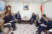 Таджикистан и Германия пришли к соглашению о необходимости упрощения системы оформления документов для мигрантов