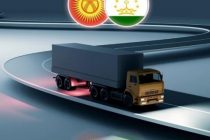 Таджикистан и Кыргызстан впервые применили международную систему eTIR