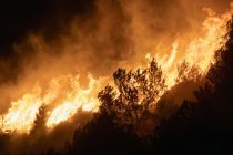 В США лесные пожары уничтожили более 120 домов