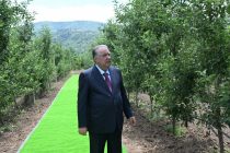 Президент Республики Таджикистан Эмомали Рахмон в Ховалингском районе посетил интенсивный сад