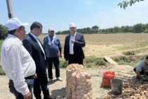 Заместитель Премьер-министра Таджикистана ознакомился с деятельностью земледельцев Бободжон Гафуровского района
