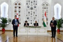 Таджикистан и Грузия намерены развивать сотрудничество в сфере экспорта сельхозпродукции