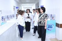 Таджикские и казахские специалисты обмениваются опытом в области медицинского обслуживания матерей и детей