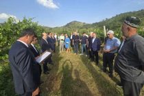 Участники Международного форума политических партий посетили туристические достопримечательности в Гиссаре