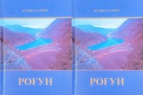В свет вышла новая книга «Рогун»