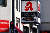 В Германии из-за последствий жары умерли 9,8 тыс. человек