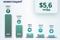 Куда направляются государственные инвестиции?