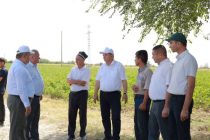 Заместитель Премьер-министра Таджикистана ознакомился с ходом полевых работ и обеспечением поливной водой в Зафарабадском районе