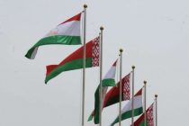 Деловые контакты Таджикистана и Беларуси выходят на новый уровень