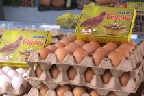 Как на рынках нарушают правила хранения скоропортящихся продуктов?