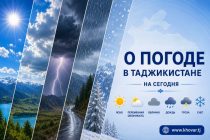О ПОГОДЕ: сегодня на юге Таджикистана переменная облачность, без осадков, 41 градус тепла