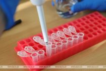 Число заболевших лихорадкой Западного Нила в Нидерландах выросло до 44-х