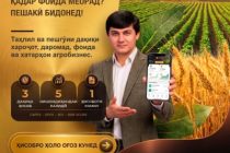 В Таджикистане разрабатывается отечественная цифровая платформа ZARZO для учёта и управления сельскохозяйственными проектами