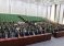 День Государственной независимости отметили в Министерстве экономического развития и торговли Таджикистана