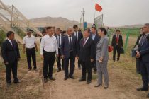 Делегация Комитета по сельскому хозяйству Китая посетила Дангаринский район