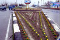 Гулкорӣ-зебоипарастист