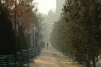 ОБУ ҲАВО: рӯзҳои истироҳатӣ дар Тоҷикистон ҳаво боронӣ шуда, туман мефарояд