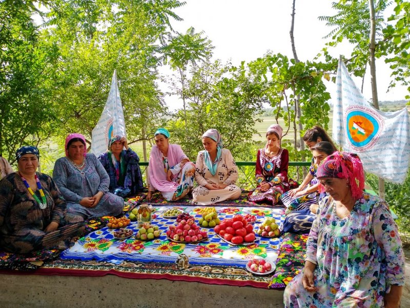 Пагода фархор. Кандакори Хатлон. Пагода Таджикистана Хатлонской. Рушди Хатлон сементи. Суманак дар Хатлон.