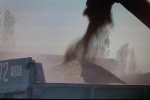 Ваҳдат:  соли равон кишоварзон  21027 тонна ғалладона ва 33706 тонна сабзавот ҷамъоварӣ намудаанд