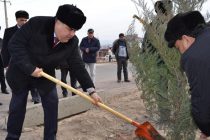 ДАРАХТ БИНШОН! Дар шаҳру ноҳияҳои Суғд корҳои ободониву ниҳолшинонӣ вусъат меёбанд